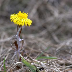 Ainda há esperança para você