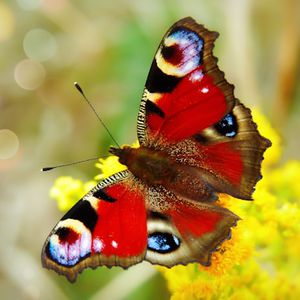 Temor que transforma