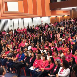 Mulheres lotam a IIGD de São Paulo em encontro estadual