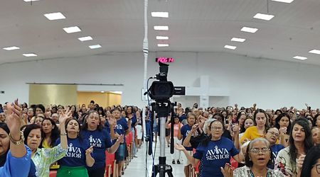 Aviva Senhor em Pernambuco